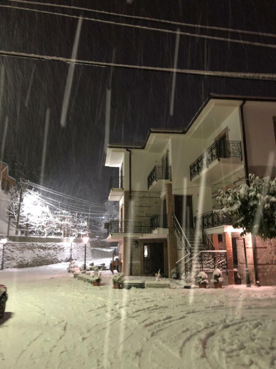 Vila Ilo Tushemisht Luaran gambar